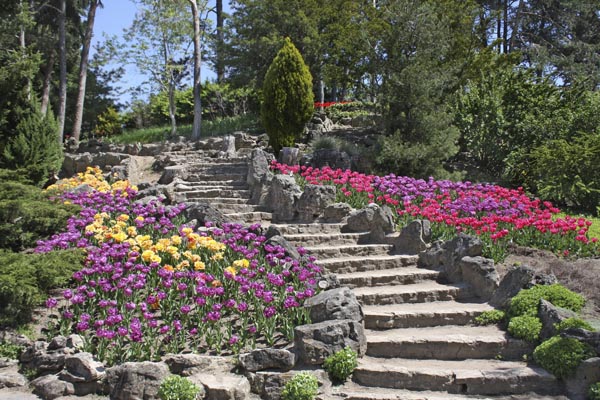 Escaleras en un jardín